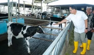 Kalapas Banyuwangi Tinjau Dapur Pengolahan Bahan Makanan, Pastikan Makanan Telah Sesuai dengan Menu Harian