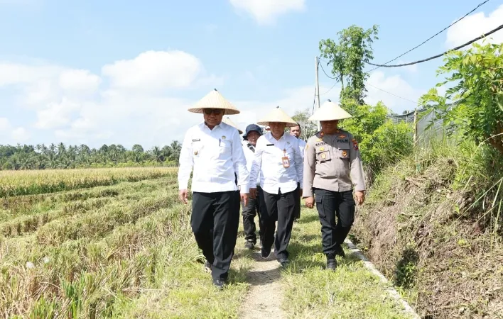 Panen Padi Demplot di Banyuwangi, Kolaborasi Pemkab dan Pupuk Kaltim Tingkatkan Swasembada Pangan
