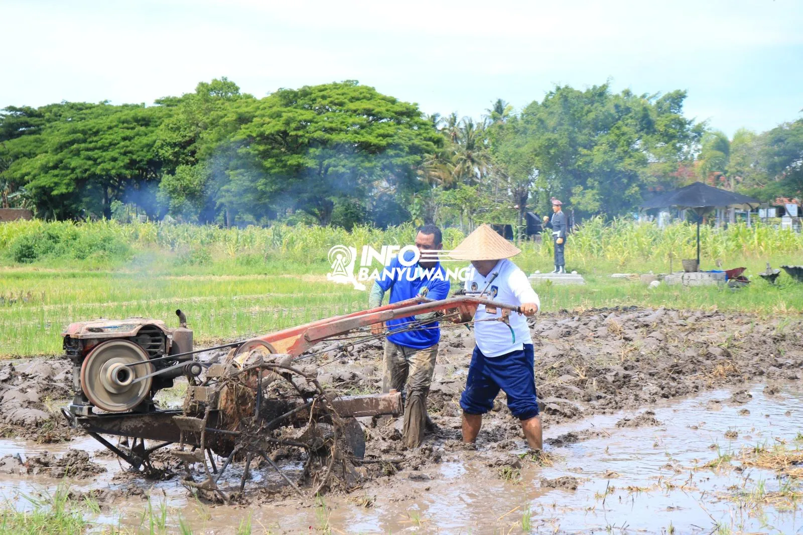 Kalapas Banyuwangi Turun ke Sawah, Jadi Teladan Warga Binaan Dukung Ketahanan Pangan