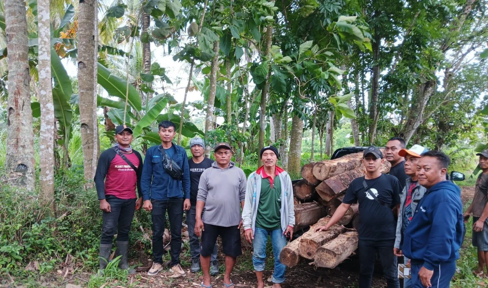 Geger! Tumpukan Kayu Jati Ilegal Ditemukan di Pekarangan Kosong Siliragung, Perhutani Amankan 16 Batang