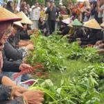 Viral! Warga Penataban Adu Cepat Ikat Kangkung dalam Lomba ‘Unting-Unting’ yang Bikin Heboh