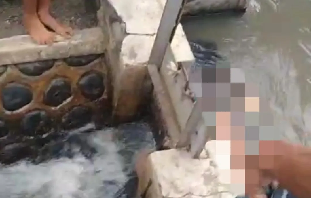 Geger! Jasad Wanita Ditemukan Terapung di Sungai Irigasi Kabat Banyuwangi, Polisi Ungkap Dugaan Penyebabnya