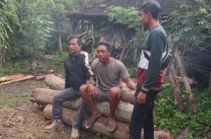 Terbongkar! Polhutmob Banyuwangi Selatan Temukan Modus Baru Pencuri Kayu Jati