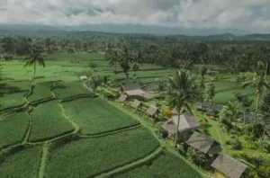 Ijen Golden Route, Cara Baru Menjelajahi Pesona Tersembunyi di Kaki Gunung Ijen
