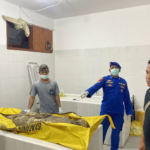 Misteri Jasad Wanita Tanpa Identitas di Pantai Rowobendo Banyuwangi, Ditemukan di Antara Tumpukan Sampah Kayu