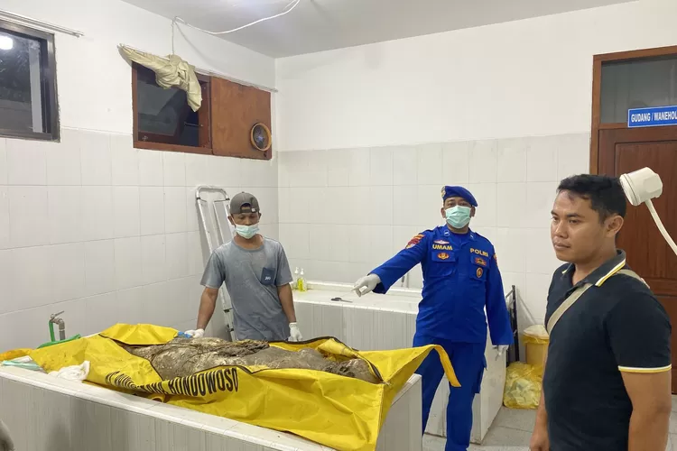 Misteri Jasad Wanita Tanpa Identitas di Pantai Rowobendo Banyuwangi, Ditemukan di Antara Tumpukan Sampah Kayu