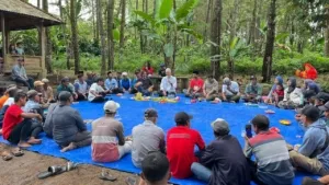 Ganjar Pranowo Tanam Perdana Pisang Cavendish di Banyuwangi, Janjikan Manfaat Besar untuk Petani Hutan