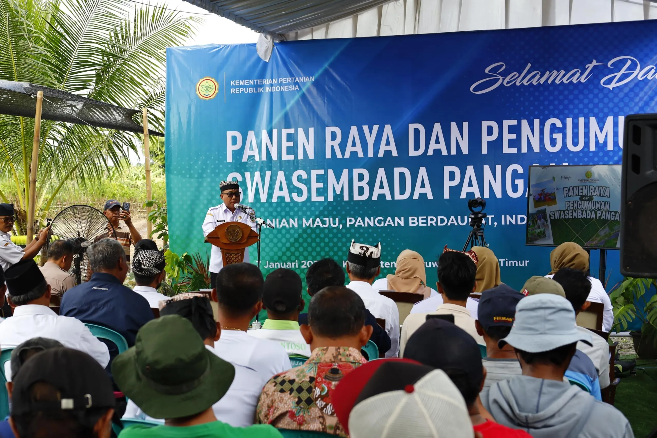 Banyuwangi Jadi Penopang Swasembada Pangan! Surplus 383 Ribu Ton Beras dan Jagung di 2025