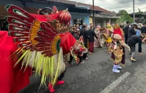 Misteri Barong Ider Bumi Kemiren, Tradisi Tolak Bala yang Selalu Diburu Ribuan Pengunjung