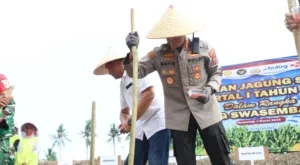 Dukung Swasembada Pangan, Kapolresta Banyuwangi Pimpin Tanam Jagung Serentak Kuartal I 2026