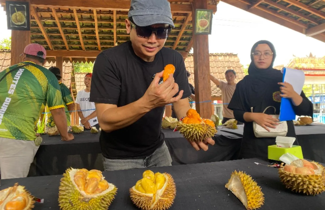 Kontes Durian Banyuwangi 2026 Ungkap Varietas Unggulan dengan Rasa Khas dan Peluang Besar Menuju Pasar Global