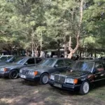 Ratusan Mercy Boxer W124 Ramaikan Banyuwangi dalam Jamnas Mercy 7 dengan Konvoi, Aksi Hijau, Wisata, dan Forum Investasi