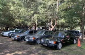 Ratusan Mercy Boxer W124 Ramaikan Banyuwangi dalam Jamnas Mercy 7 dengan Konvoi, Aksi Hijau, Wisata, dan Forum Investasi