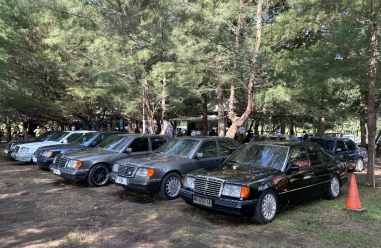 Ratusan Mercy Boxer W124 Ramaikan Banyuwangi dalam Jamnas Mercy 7 dengan Konvoi, Aksi Hijau, Wisata, dan Forum Investasi