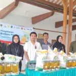 211.782 Warga Banyuwangi Terima Bantuan Pangan, Jutaan Kilogram Beras Mulai Disalurkan