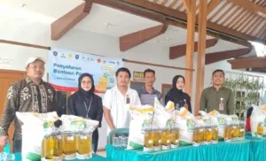211.782 Warga Banyuwangi Terima Bantuan Pangan, Jutaan Kilogram Beras Mulai Disalurkan